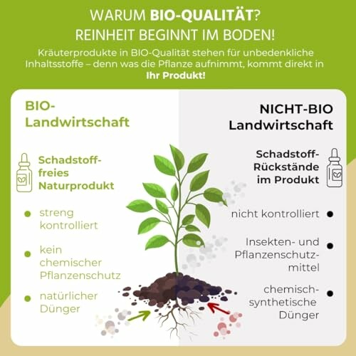 Vergleich zwischen Bio- und Nicht-Bio-Landwirtschaft mit Pflanzenwachstum.