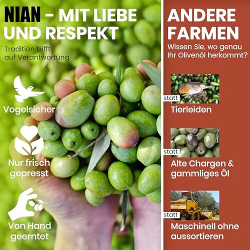 Vergleich von Olivenölproduktion: NIAN mit Liebe und Respekt, andere Farmen Tierleiden und alte Chargen.
