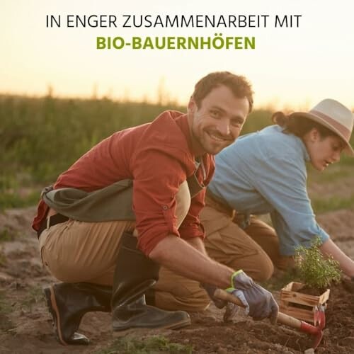 Mann und Frau arbeiten auf einem Bio-Bauernhof.